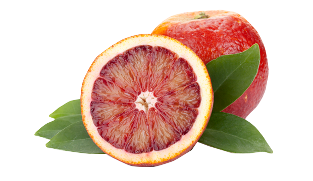 Brazilian Blood Orange